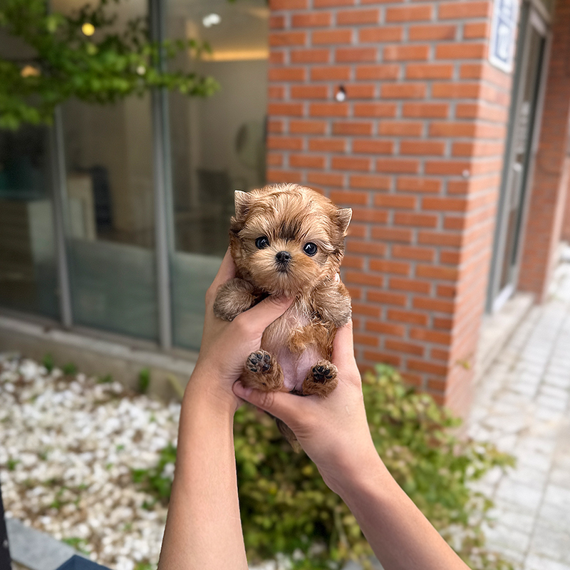 몰 키
